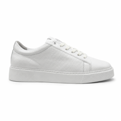 Sneakers Holly